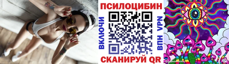 Купить закладки  Карабаш  Галлюциногенные грибы мицелий 