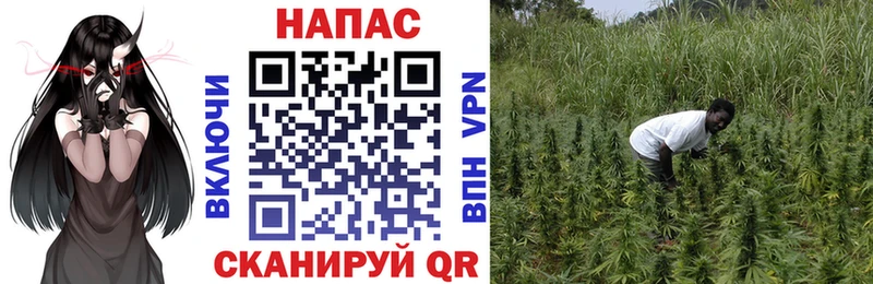 МАРИХУАНА LSD WEED Купить где Карабаш